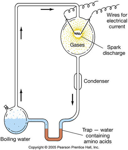 (1893-1981) Urey & (1930-) Miller's Experiment