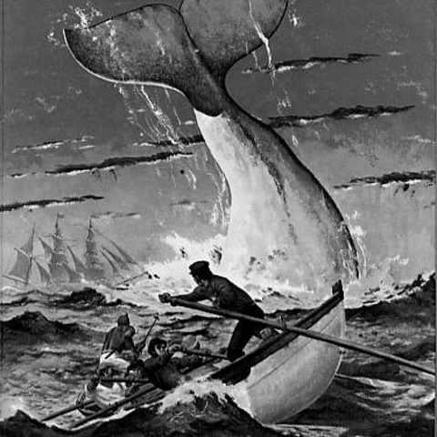 Moby Dick- Herman Melville