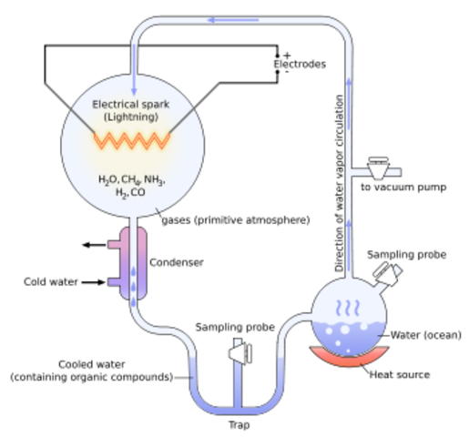 (1900-present) Miller and Urey
