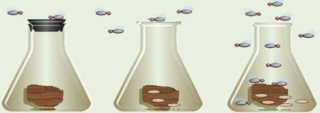 (Between 1600 -1700)