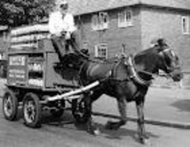 An adventure in Antwerp