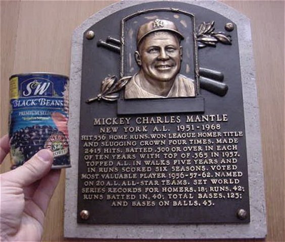 Inducted in to hall of fame