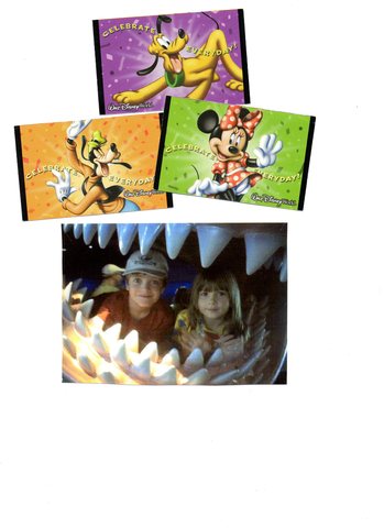 I went to Disney World Epcot Center and Magic Kingdom for my birthday.