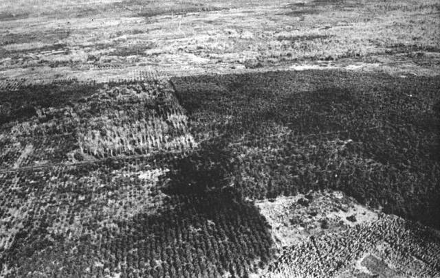 The battle of Long Tan