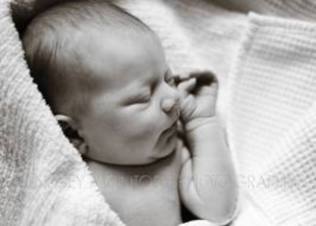 Fred Hollows was born