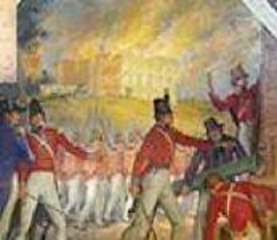 Battle at Washington D.C.