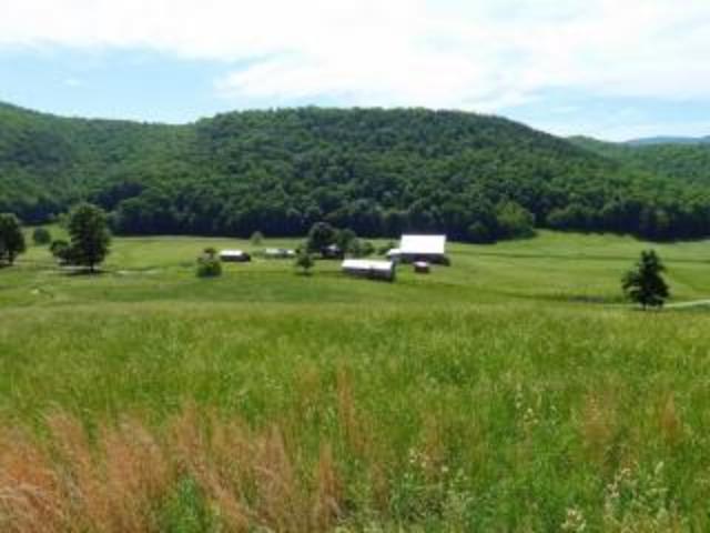 In 1990 she moved the healing Center to her own farm in Head Waters, Virginia