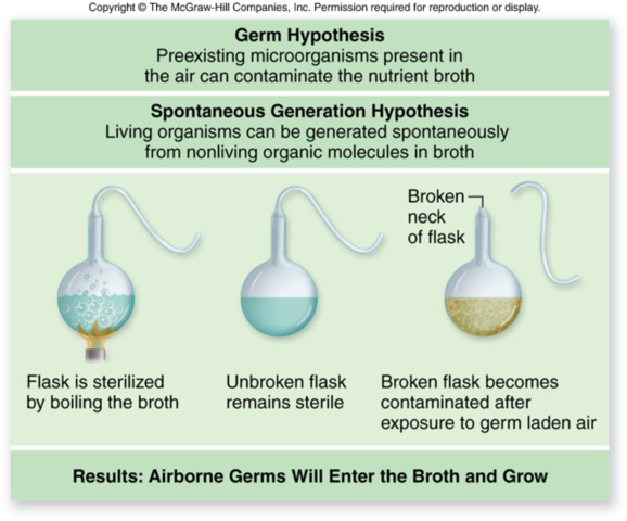 (1800-1900) Pasteur’s experiment