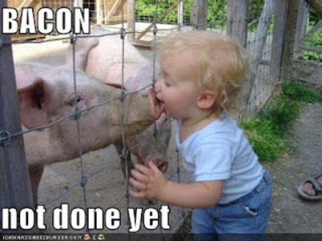 a kid kisses a pig