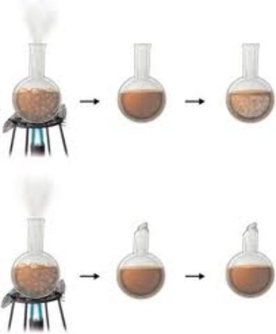 (1700s) Spallanzani's Experiment