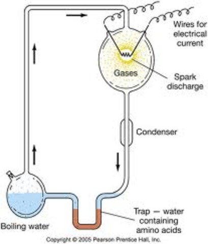 (1953) Miller-Urey Experiment