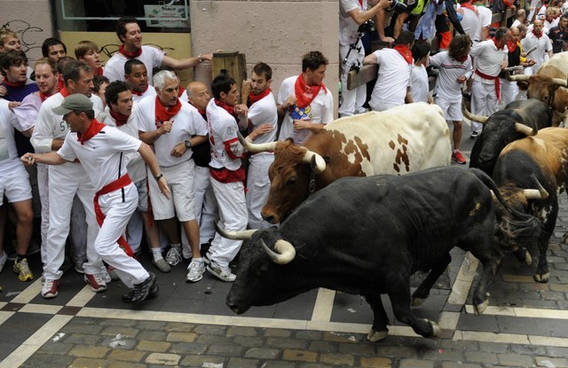 receving the bull