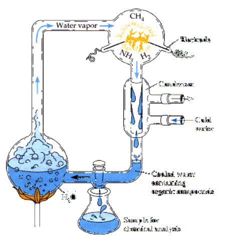 (1900-Present) Urey and Miller
