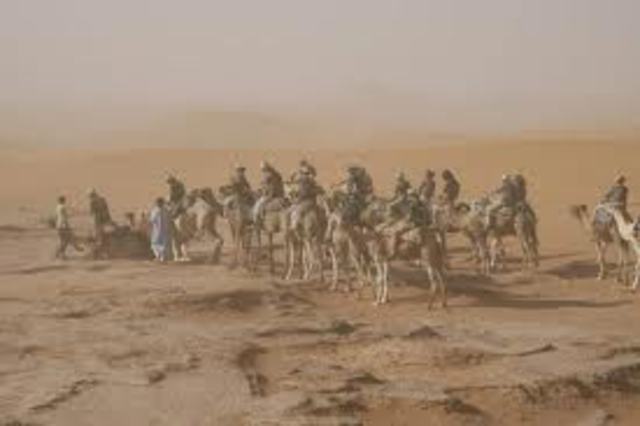 OPERACIÓN: Escudo del Desierto