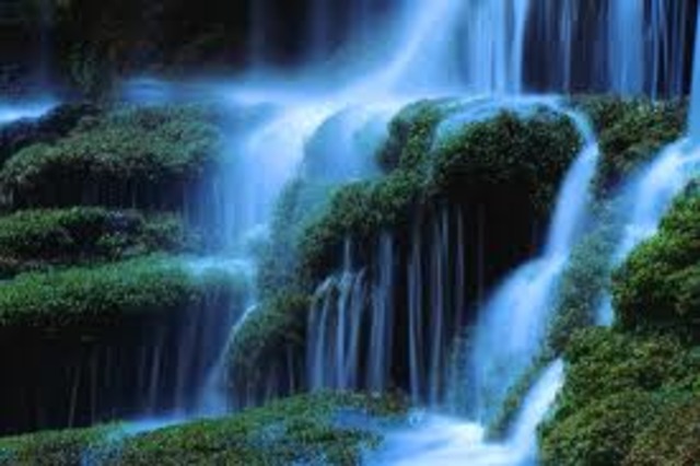 South Carolina Vacation