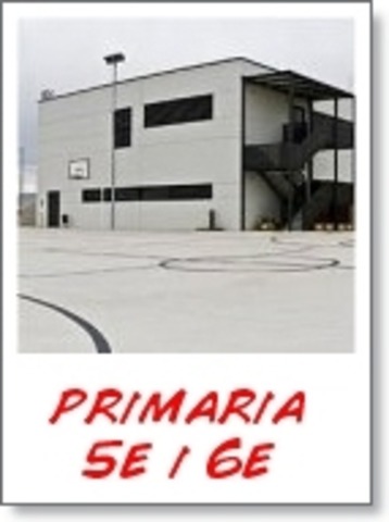 lineas del temps tallers