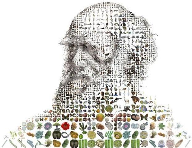 Teoría de la evolución