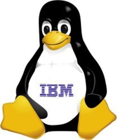 se publicaron parches de IBM Mainframe para 2.2.13, permitiendo de esta forma que Linux fuera usado en ordenadores corporativos
