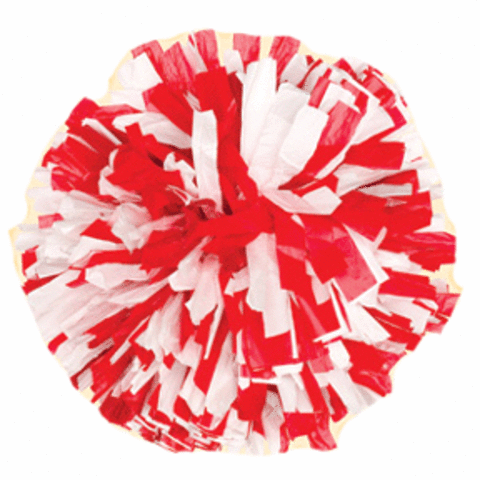 Started teaching gymnastics and cheerleading!!