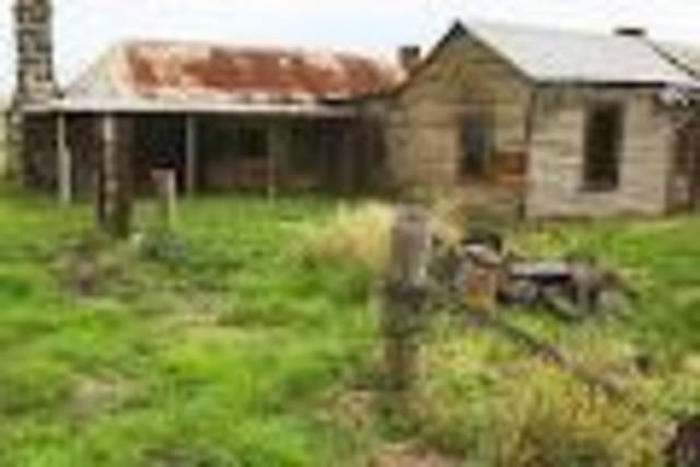 Ned was born in beveraige north melbourne and raised on the banks of a winter creek