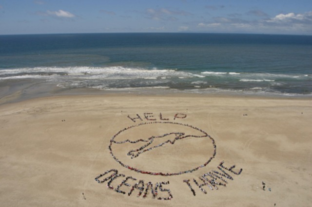 The first World Ocean Day is celebrated, coinciding with the Earth Summit held in Rio de Janeiro, Brazil.