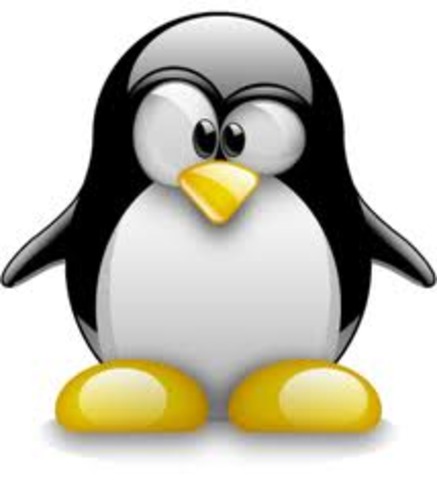 LINUS TORVALDS CREA LINUX