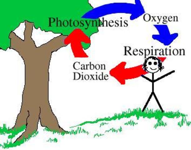 (2 BYA) Oxygen and Ozone