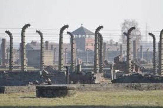 Auschwitz Created