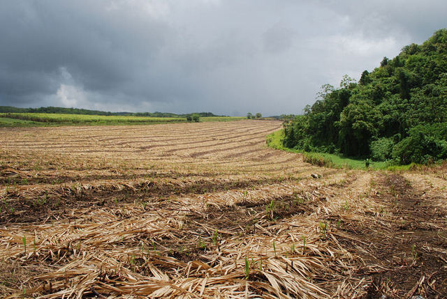 Abolished Slavery in West Indies