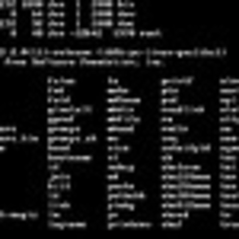 Se empieza a escribir el código del sistema operativo