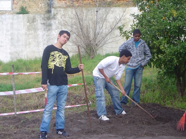 CEF Jardinagem - horta pedagógica