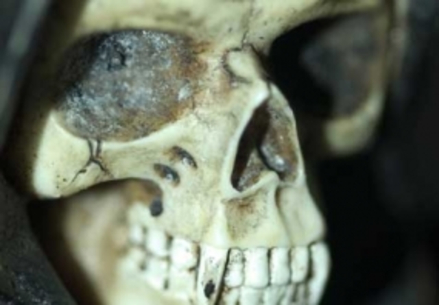 Definition af horror og gotisk litteratur