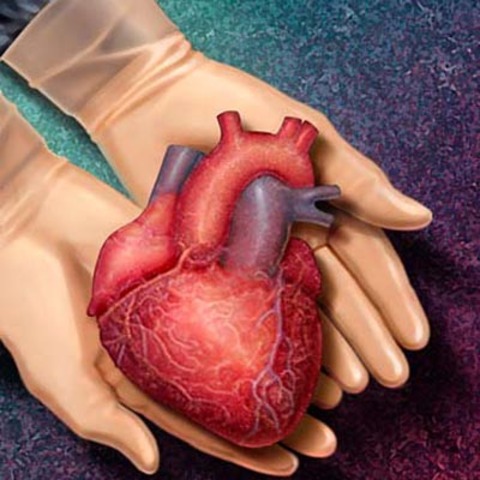 The First Human Heart Transplant