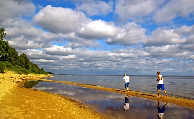 поездка на Чудское озеро "Поиски клада лесовичка"