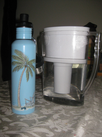 Loyola's Student Environemental Alliance Pledge