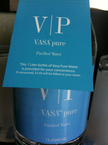 LUChameleon Publishes Article Against Water Privatization