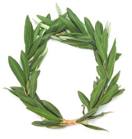 Juegos olìmpicos antiguos