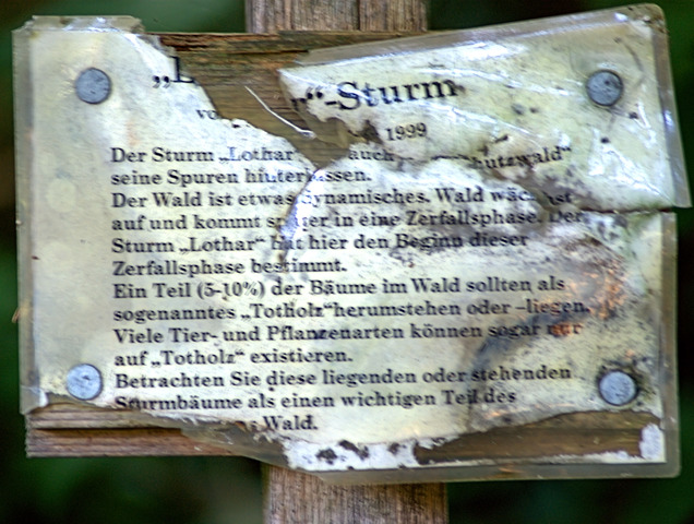 Storm Lothar killed 137 people as it crossed France,Southern Germany and switzerland