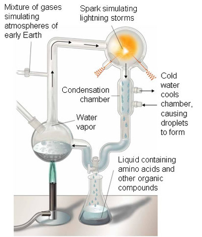 (1900-The Present) Harold C. Urey and Stanley L. Miller's Experiment