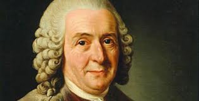 Carolus Linnaeus's Theory