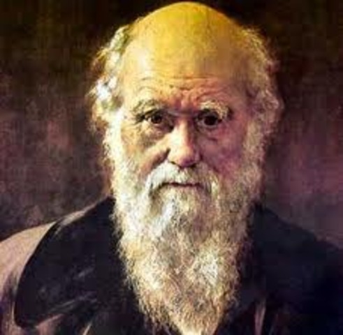 Darwin's Theory