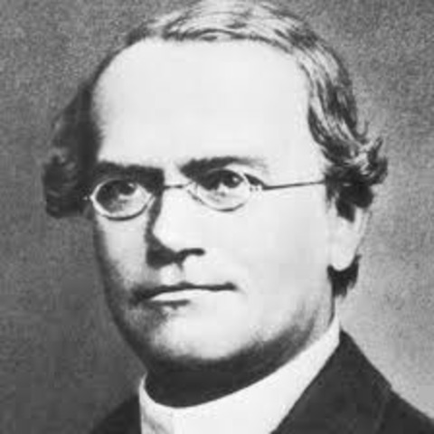Gregor Mendel's Theory