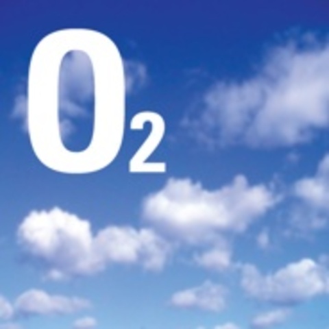 (2 BYA) O2 levels reached today’s levels