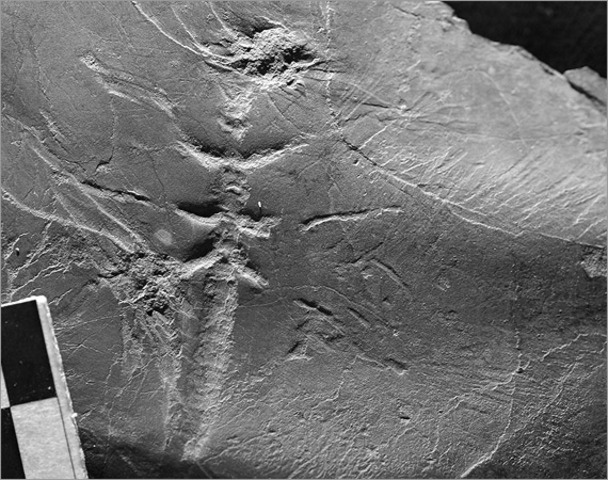 (3 billion years ago)