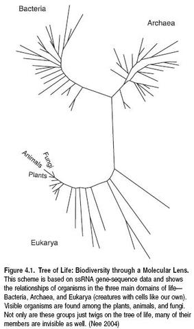 (1 billion years ago)