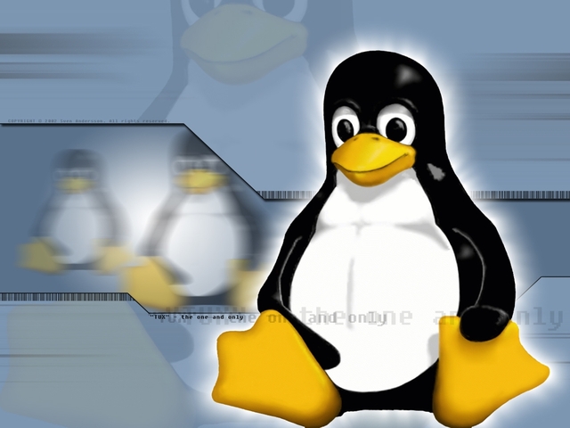 LINUX VERSIÓN 0.01