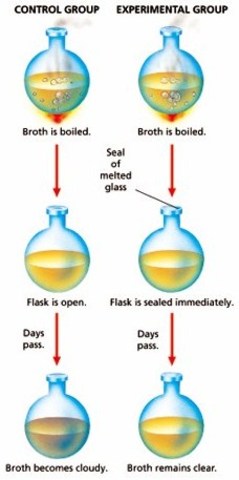 (Between 1700-1800) Spallanzani's Experiment