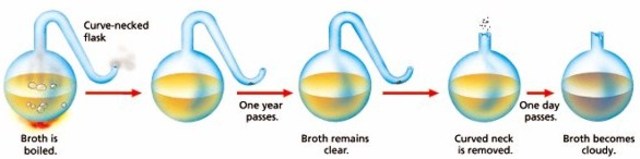 (Between 1800-1900) Pasteur's Experiment