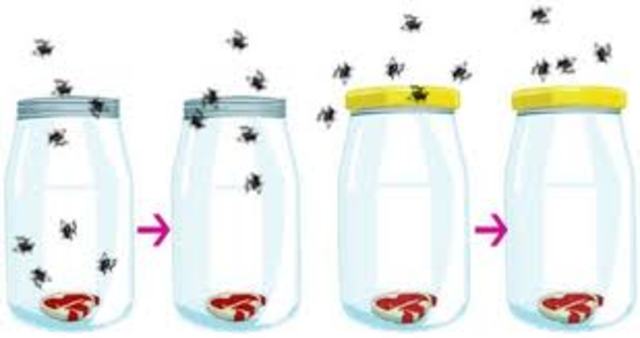 (1626-1697) Franseco Redi's experiment