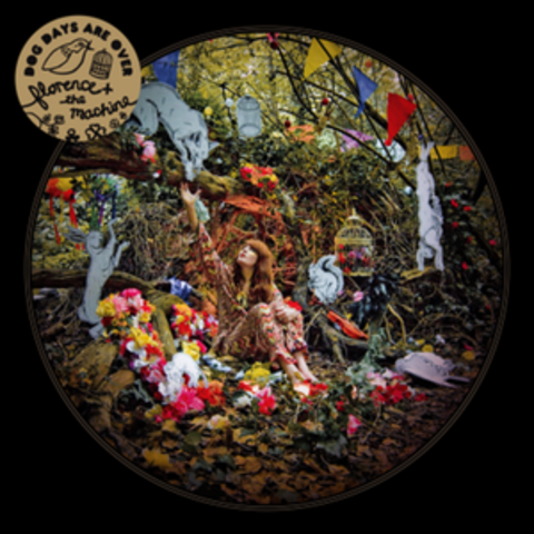 "Dog Days Are Over" Is Released